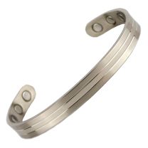 Unisex Magnetic Titanium Bracelet/Bangle Elegant Two-Tone 6 Magnets Health Rare Earth NdFeB